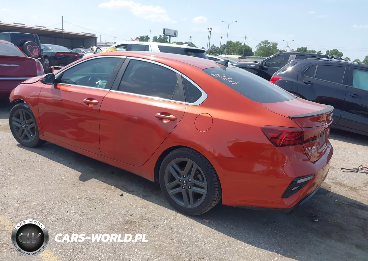 2019 Kia Forte Ex VIN:3KPF54AD6KE084808 - 3