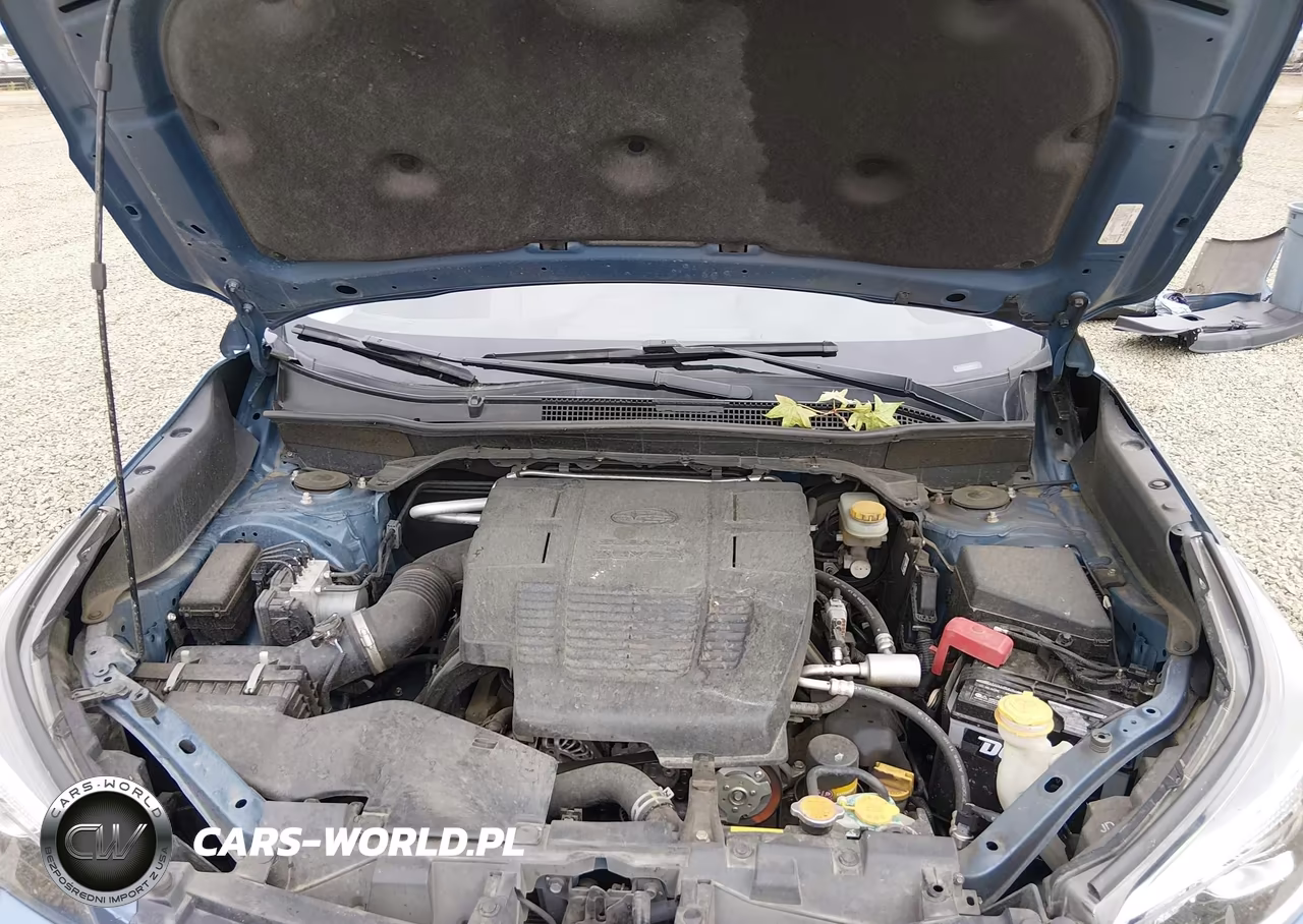 2019 Subaru Forester Premium VIN:JF2SKAEC9KH495977 - 10