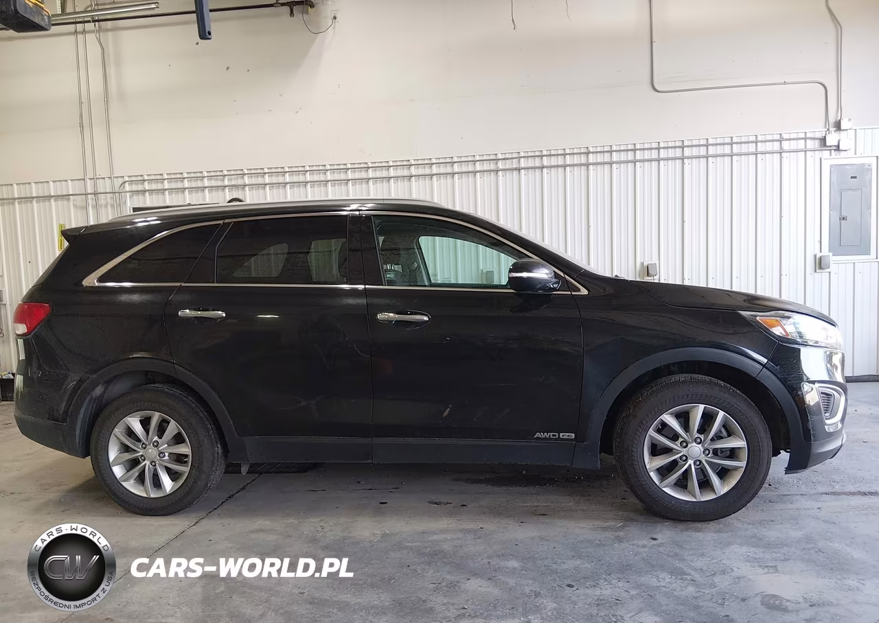 2017 Kia Sorento 3.3L Lx VIN:5XYPGDA57HG193734 - 13