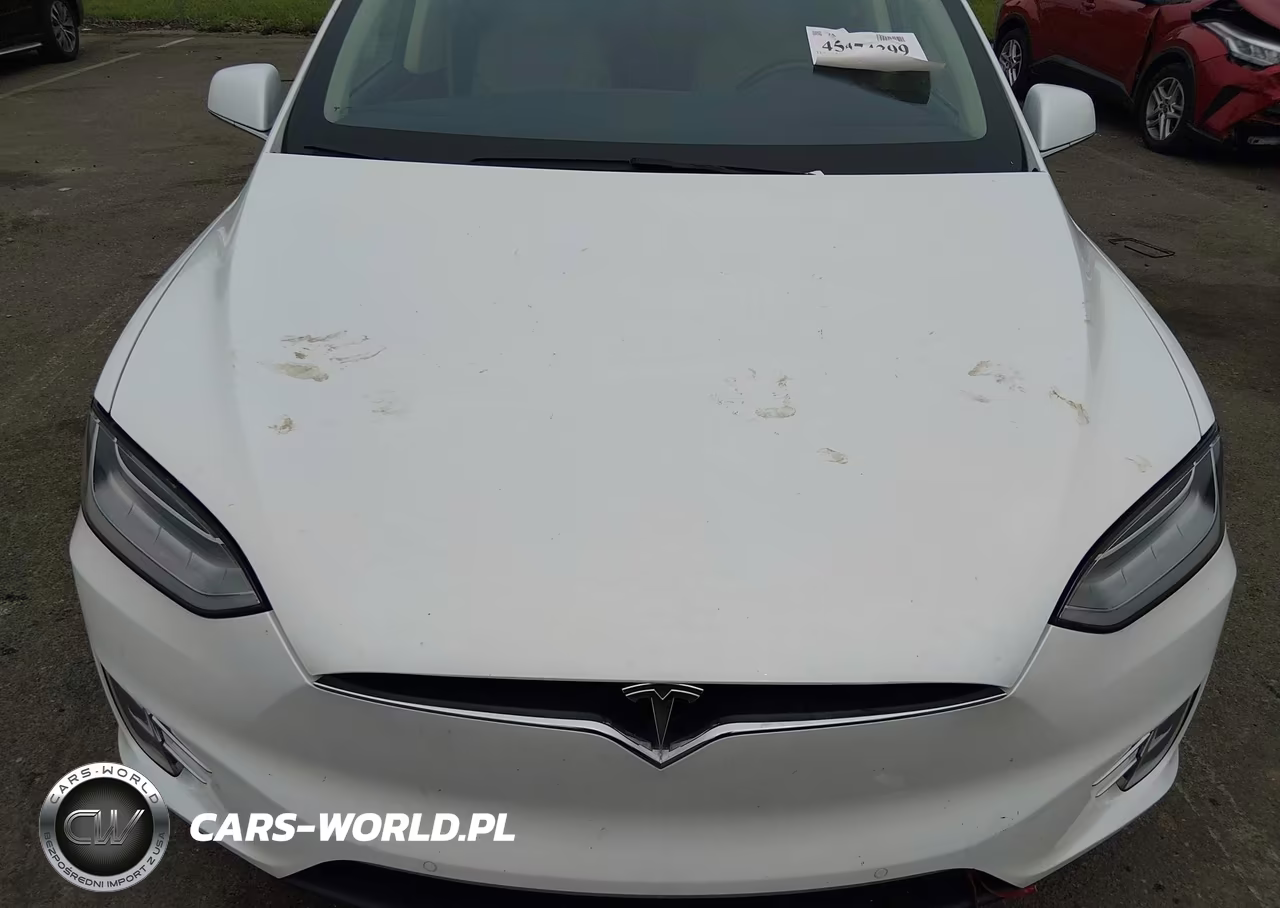 2017 Tesla Model X 100D-75D-90D VIN:5YJXCBE20HF049952 - 10