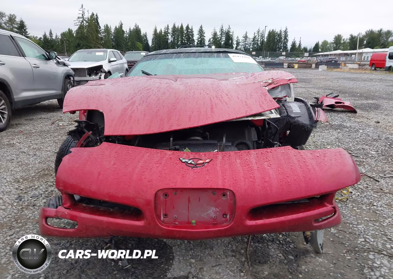 2004 Chevrolet Corvette VIN:1G1YY22GX45106765 - 13