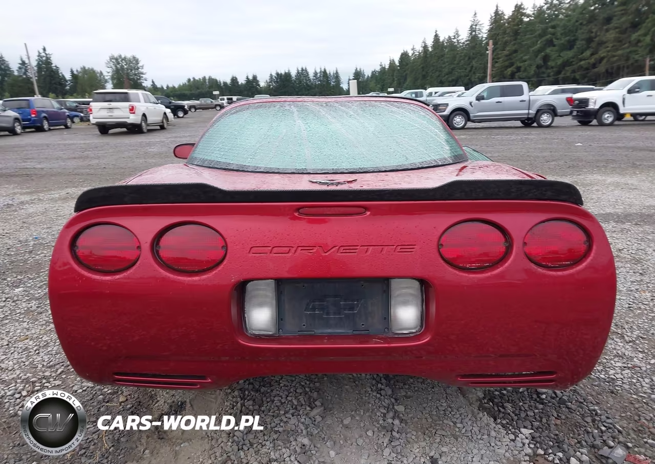 2004 Chevrolet Corvette VIN:1G1YY22GX45106765 - 17