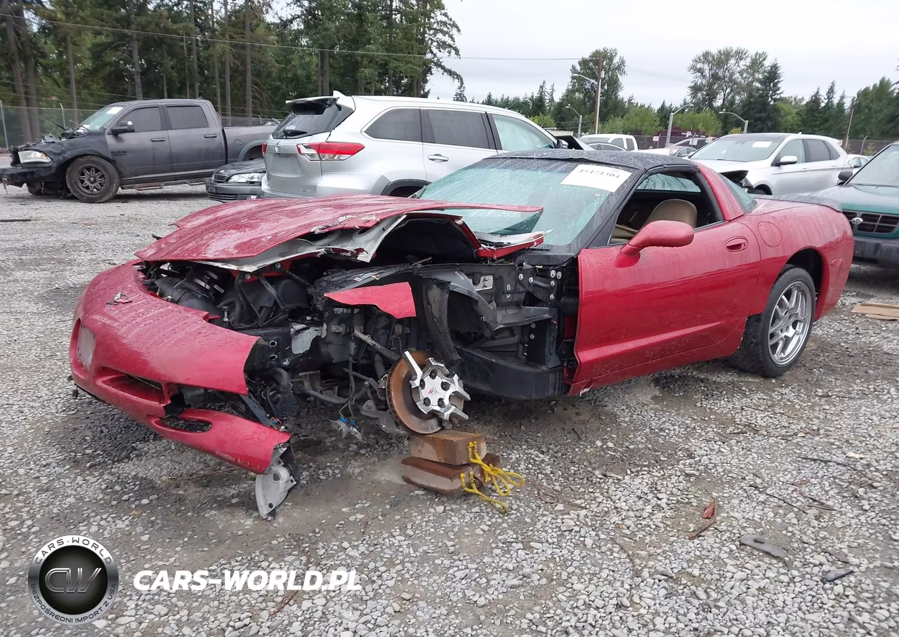 2004 Chevrolet Corvette VIN:1G1YY22GX45106765 - 2