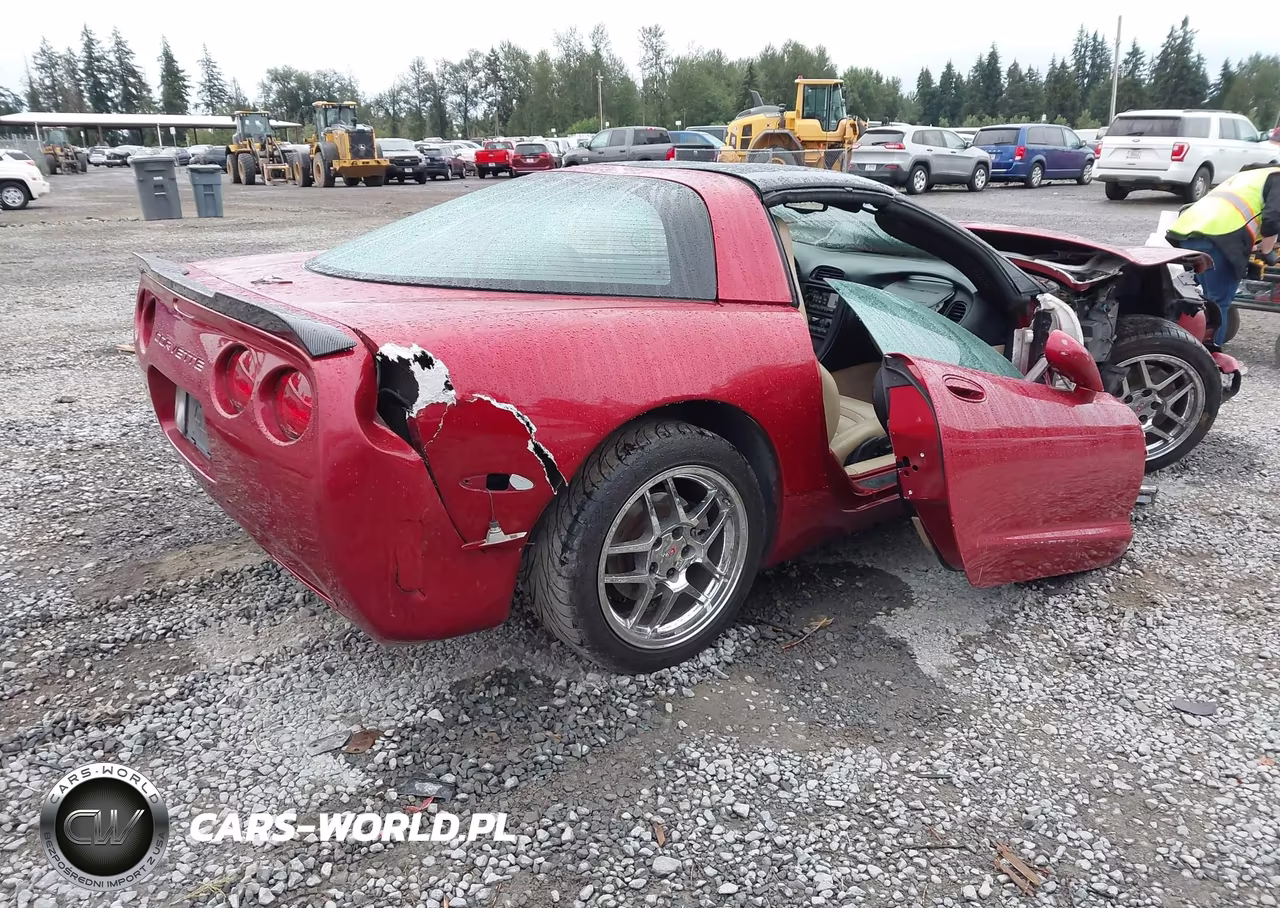 2004 Chevrolet Corvette VIN:1G1YY22GX45106765 - 4