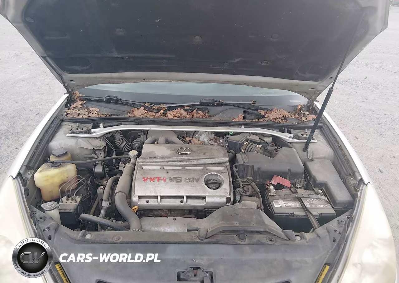 2002 Lexus Es 300 VIN:JTHBF30G020044300 - 10