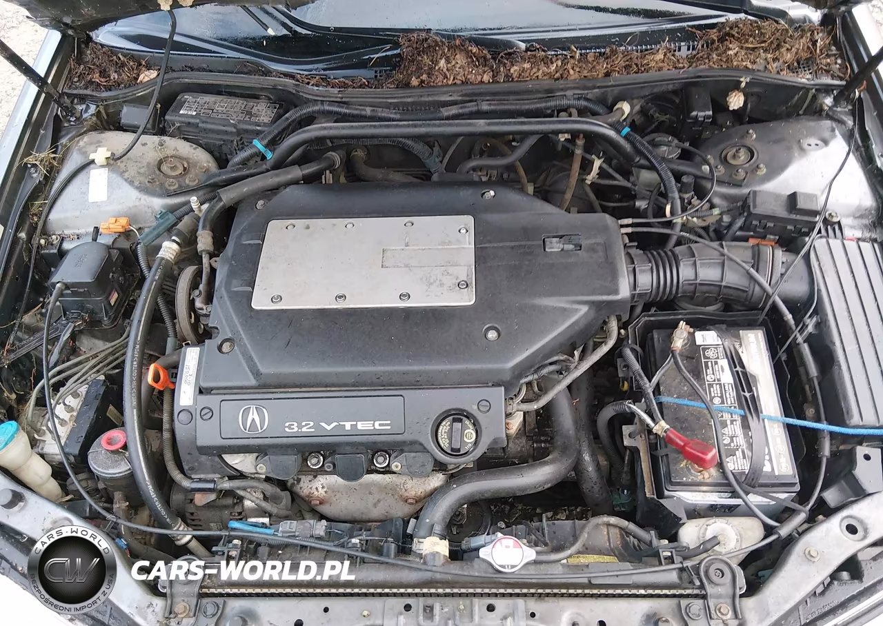 2003 Acura Tl 3.2 VIN:19UUA56623A062801 - 10