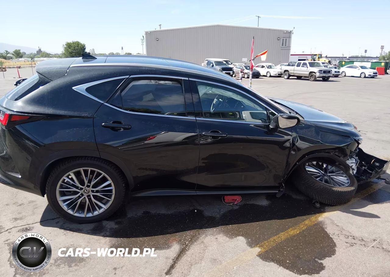 2022 Lexus Nx 350H Luxury VIN:JTJHKCEZ4N5004095 - 13
