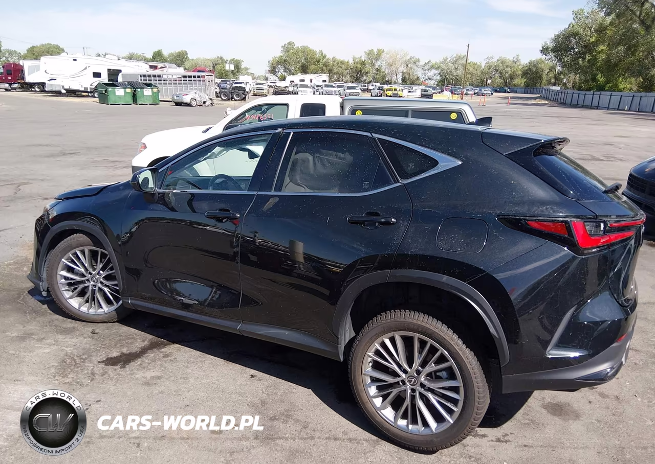 2022 Lexus Nx 350H Luxury VIN:JTJHKCEZ4N5004095 - 14