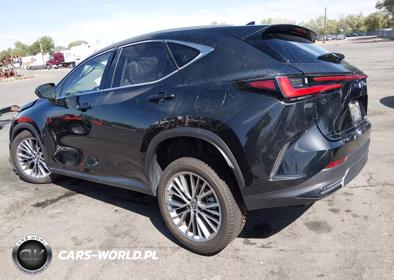 2022 Lexus Nx 350H Luxury VIN:JTJHKCEZ4N5004095 - 3