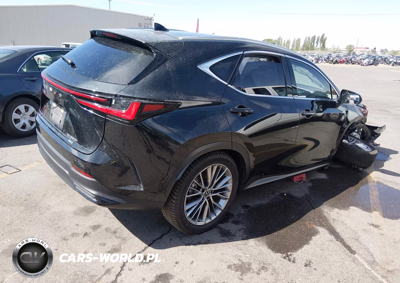 2022 Lexus Nx 350H Luxury VIN:JTJHKCEZ4N5004095 - 4