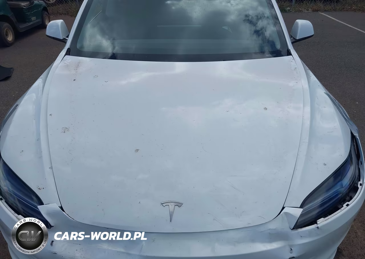 2025 Tesla Model 3 Long Range All-Wheel Drive VIN:5YJ3E1EB3SF049096 - 10