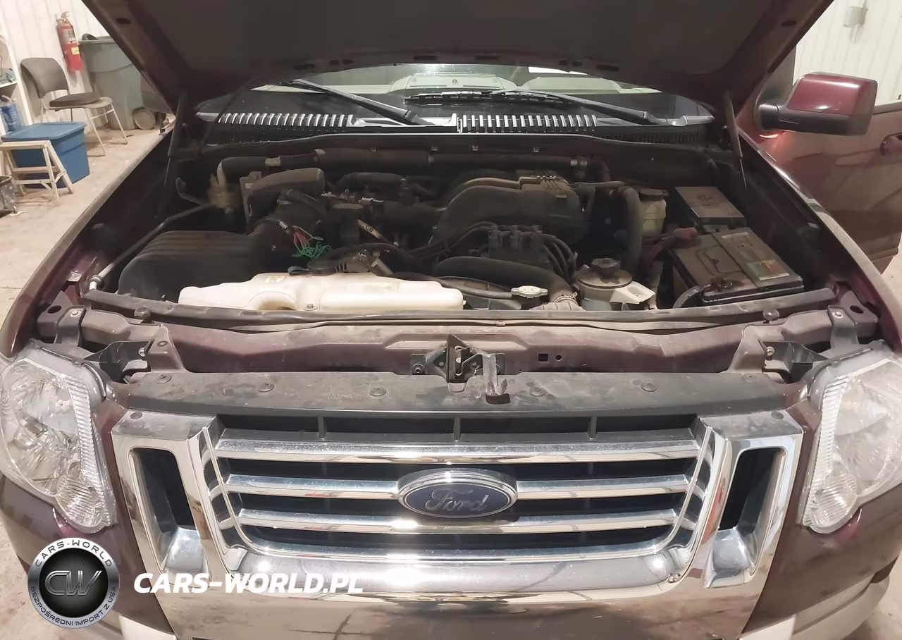 2007 Ford Explorer Eddie Bauer VIN:1FMEU74E17UB04097 - 10
