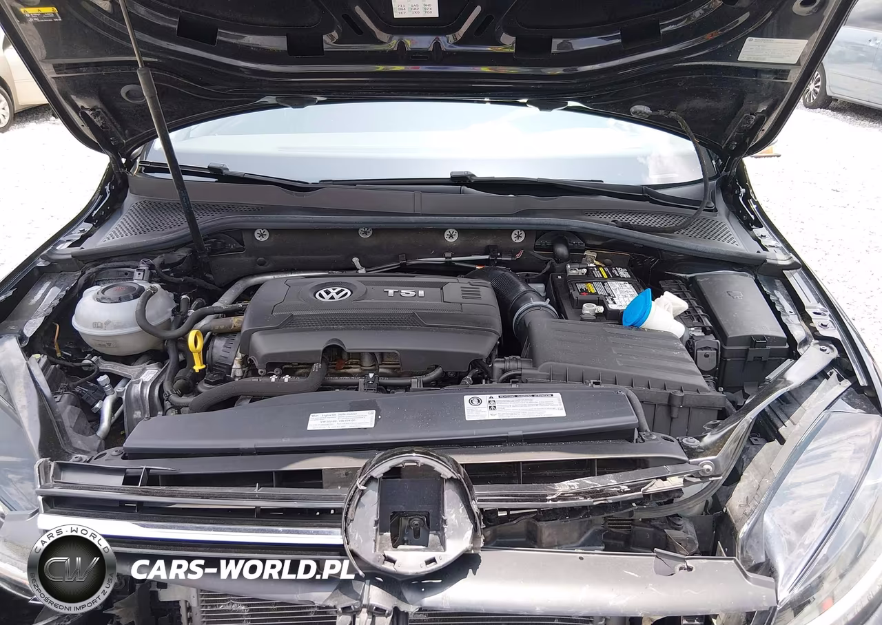 2018 Volkswagen Golf Tsi S-Tsi Se VIN:3VWG17AU8JM273141 - 10