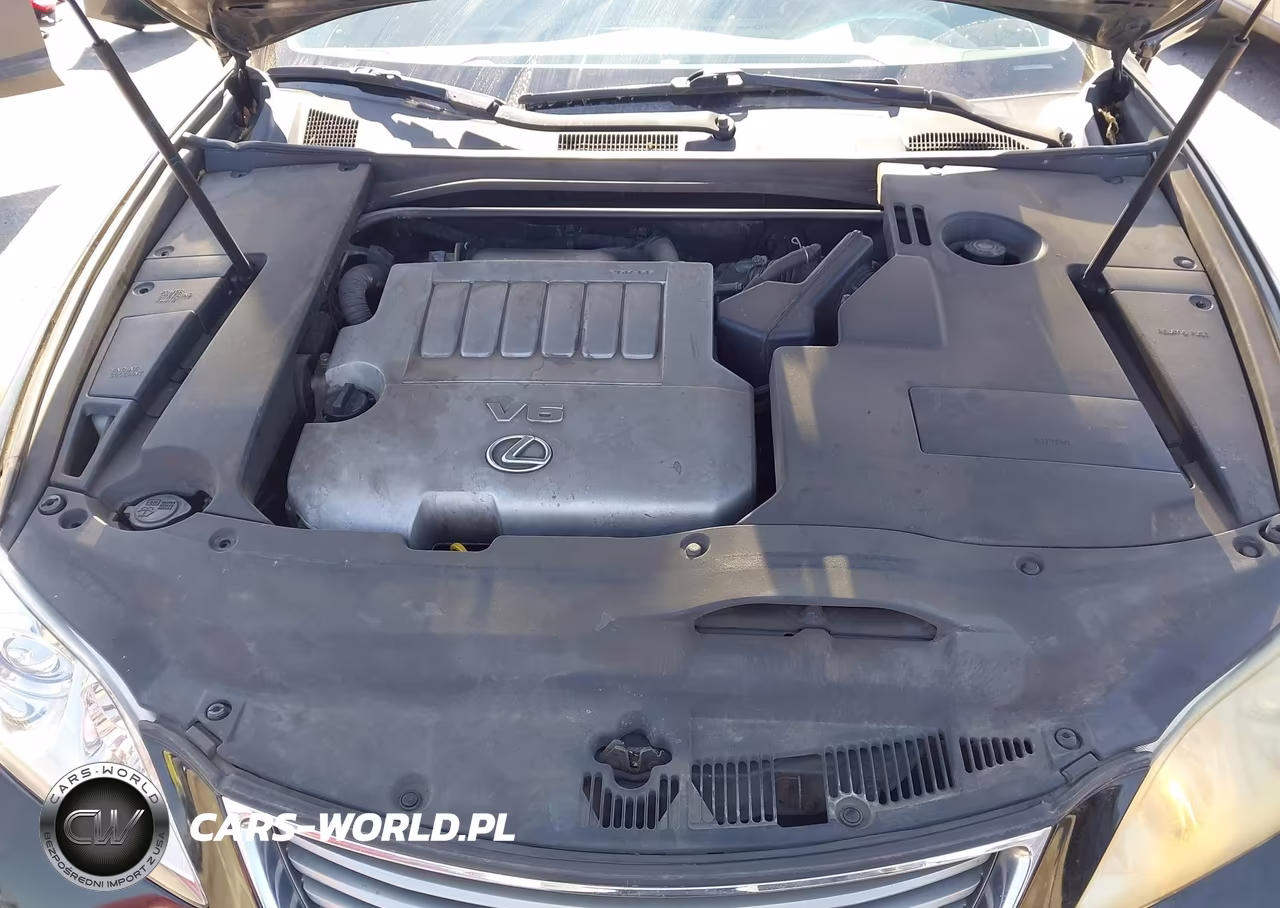 2009 Lexus Es 350 VIN:JTHBJ46G492327941 - 10
