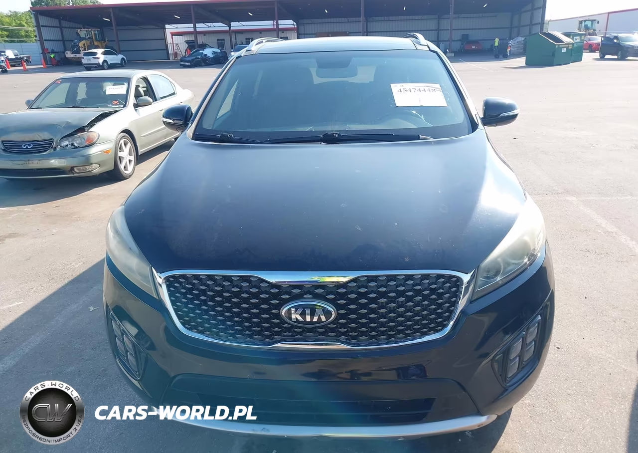2016 Kia Sorento 2.0T Sxl VIN:5XYPK4A14GG035510 - 12