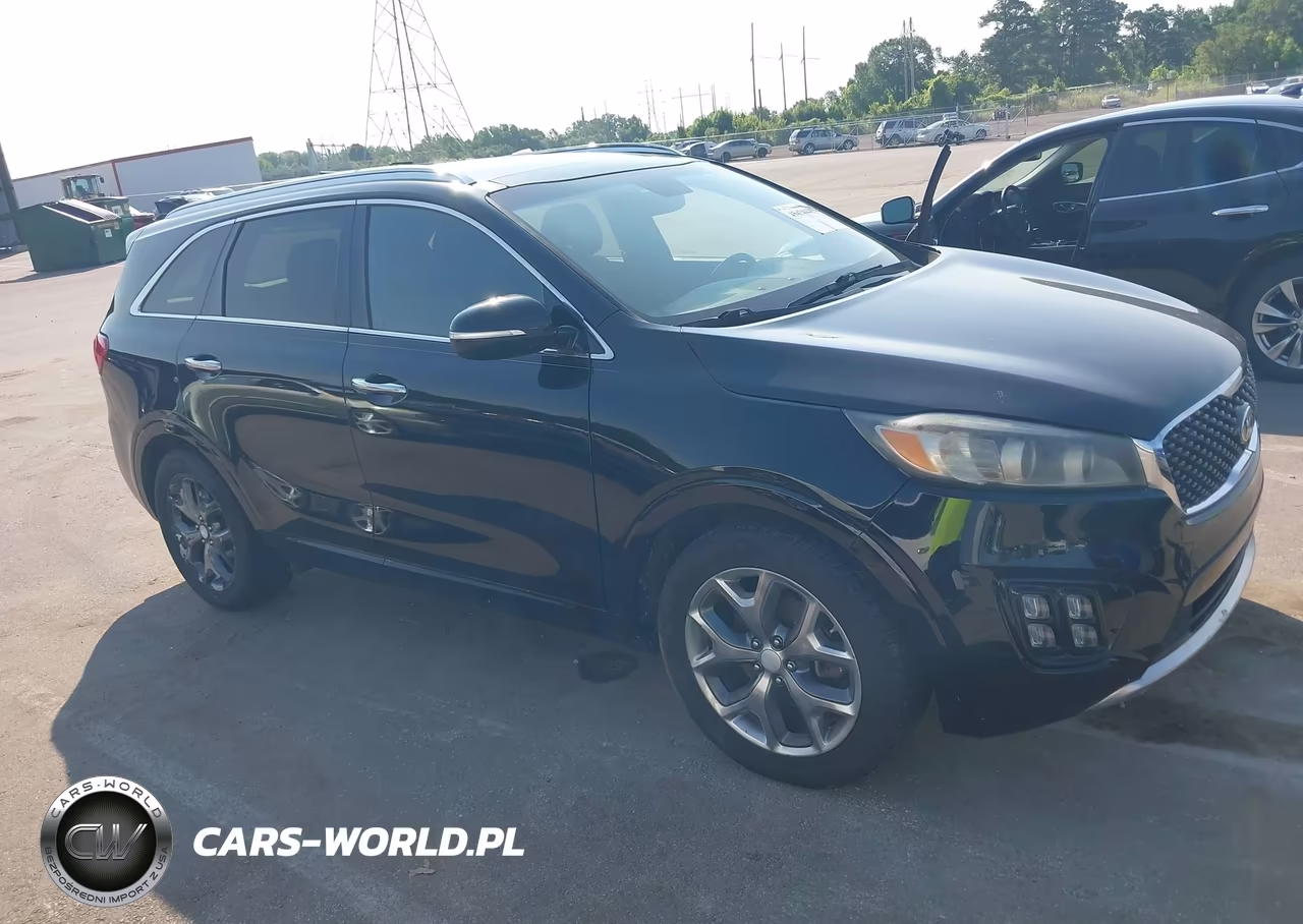2016 Kia Sorento 2.0T Sxl VIN:5XYPK4A14GG035510 - 13