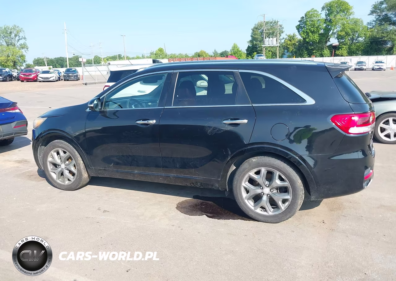2016 Kia Sorento 2.0T Sxl VIN:5XYPK4A14GG035510 - 14
