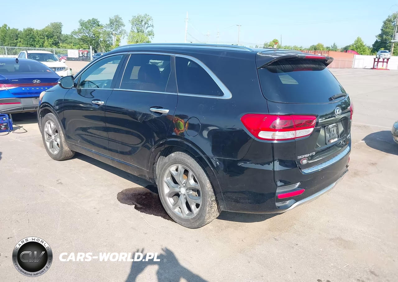 2016 Kia Sorento 2.0T Sxl VIN:5XYPK4A14GG035510 - 3