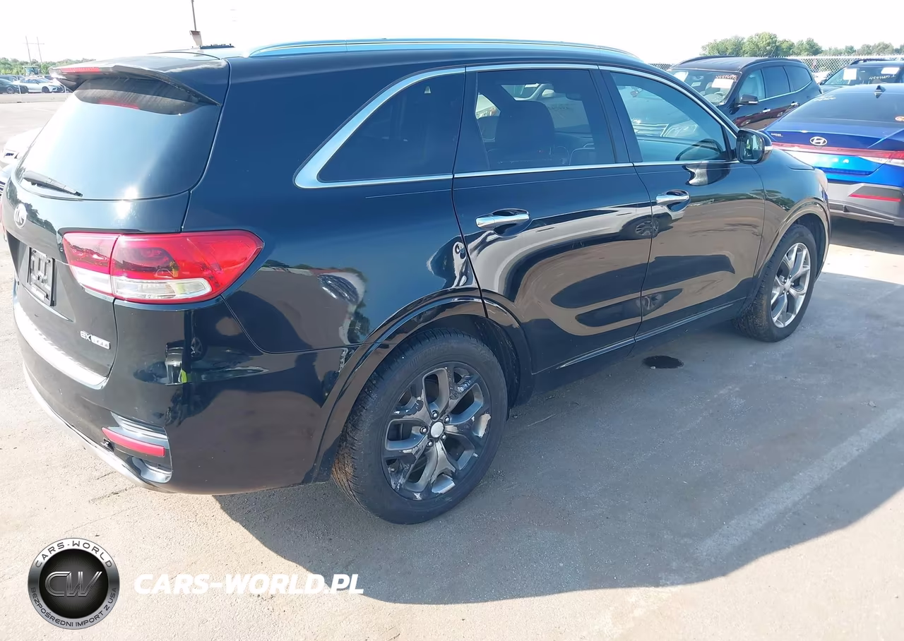 2016 Kia Sorento 2.0T Sxl VIN:5XYPK4A14GG035510 - 4