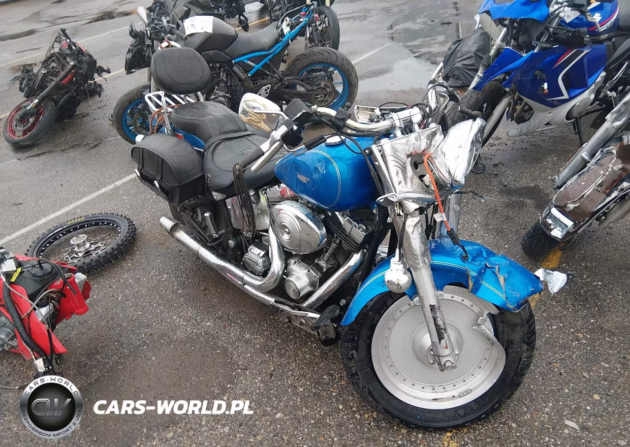2002 Harley-Davidson Flstf – zdjęcie 1 z 13