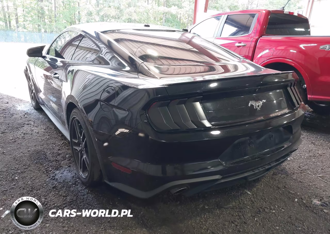 2018 Ford Mustang Ecoboost VIN:1FA6P8TH3J5127437 - 3