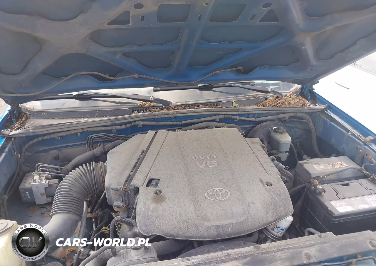 2008 Toyota Tacoma Base V6 VIN:5TEUU42N18Z501402 - 10