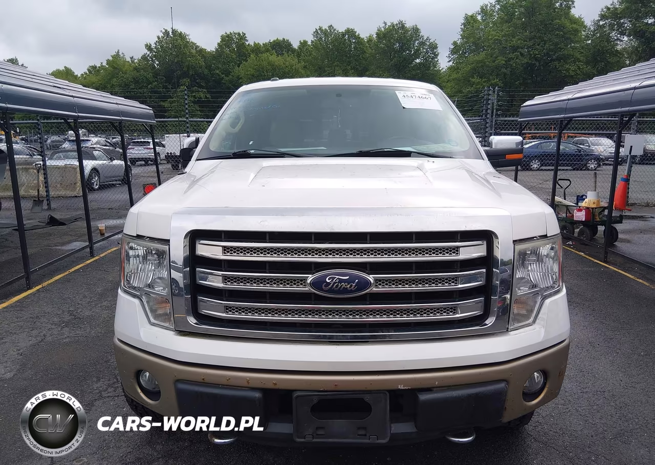 2013 Ford F-150 Fx4-King Ranch-Lariat-Platinum-Xl-Xlt VIN:1FTFW1EF3DKD50745 - 13