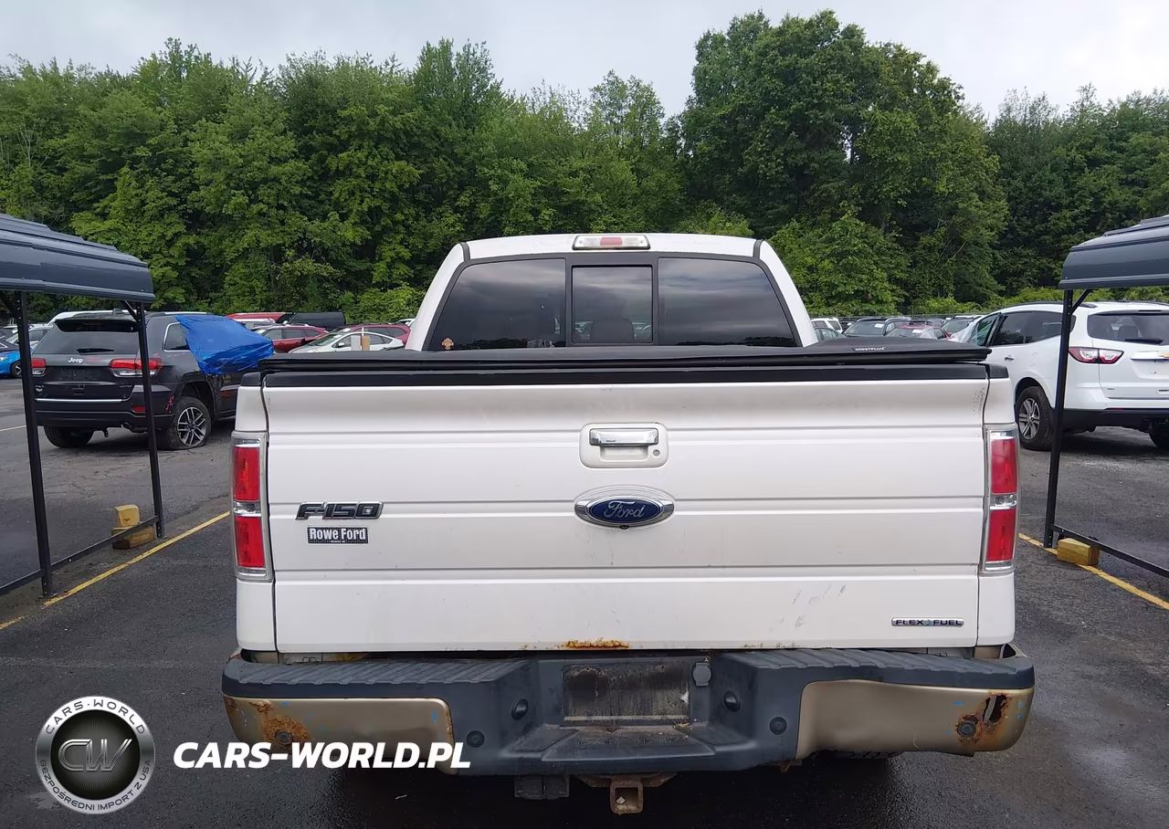 2013 Ford F-150 Fx4-King Ranch-Lariat-Platinum-Xl-Xlt VIN:1FTFW1EF3DKD50745 - 17
