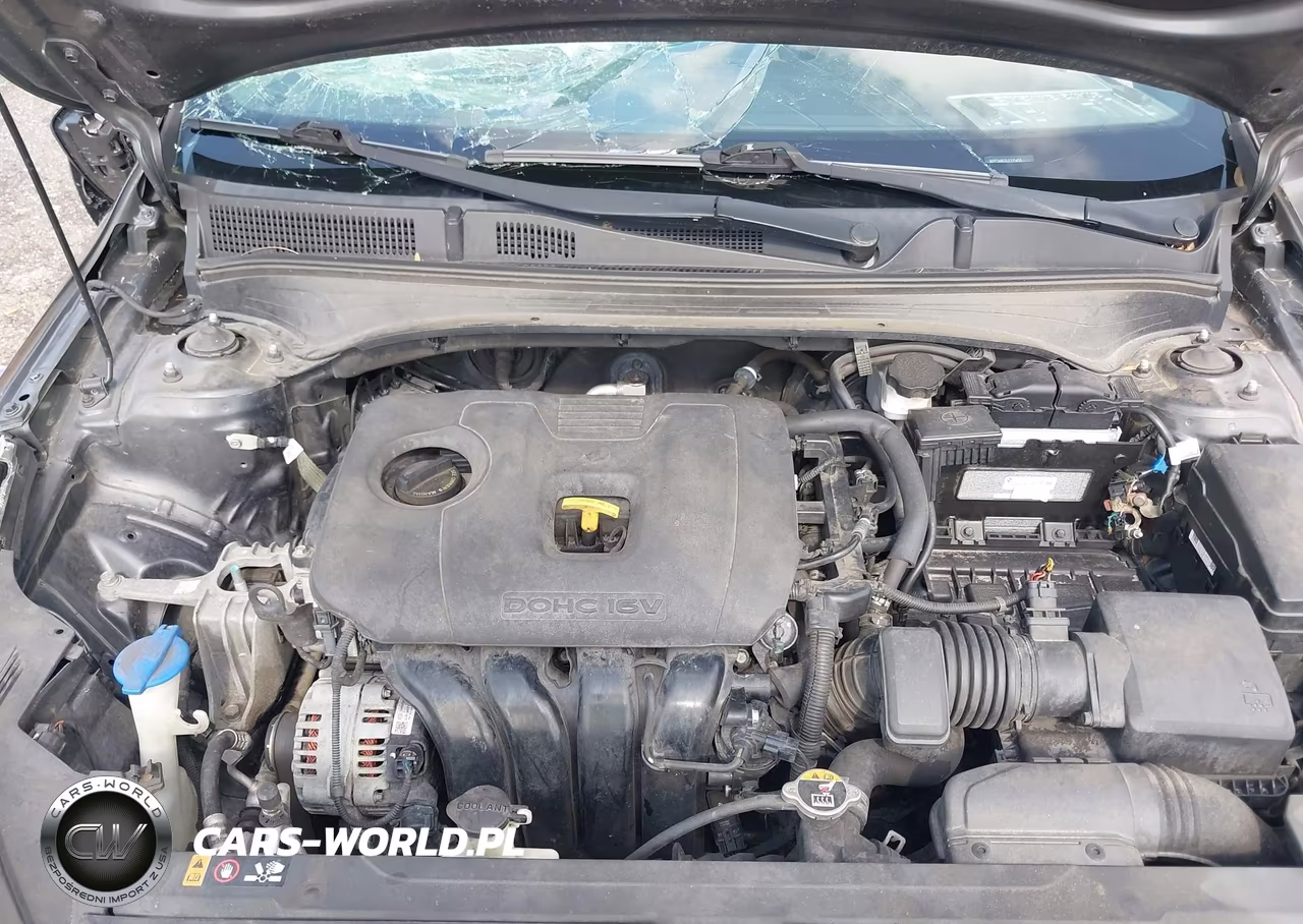 2020 Kia Forte Ex VIN:3KPF54AD2LE225455 - 10