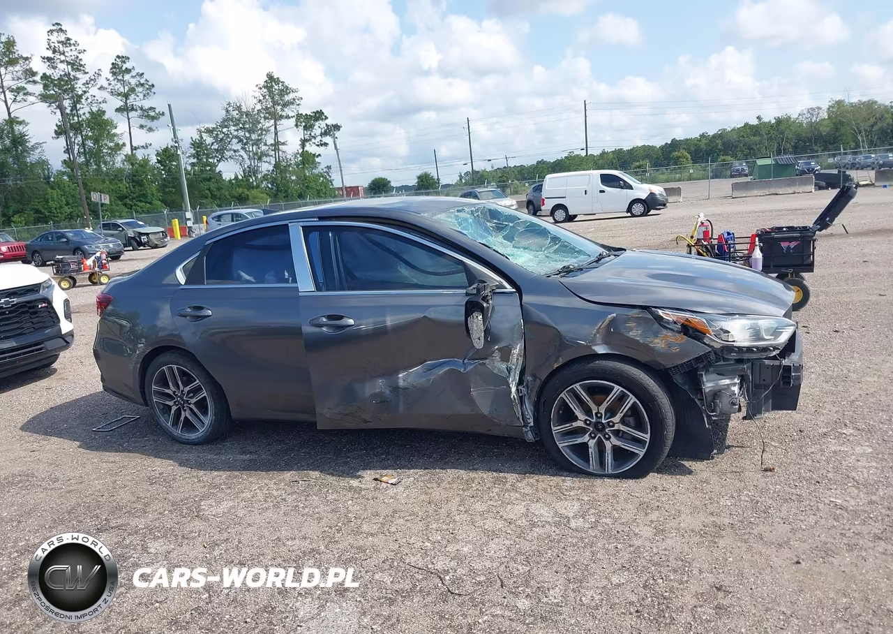 2020 Kia Forte Ex VIN:3KPF54AD2LE225455 - 13