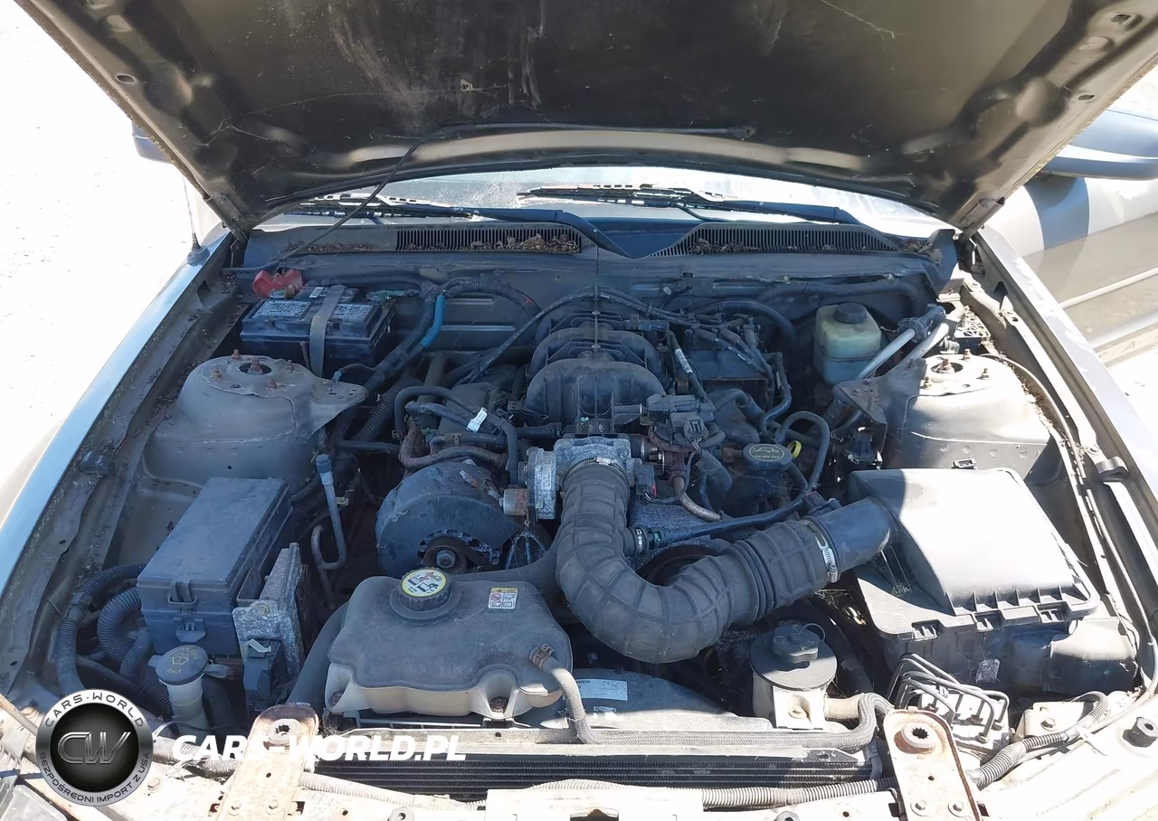 2005 Ford Mustang V6 Deluxe-V6 Premium VIN:1ZVFT80N955178010 - 10