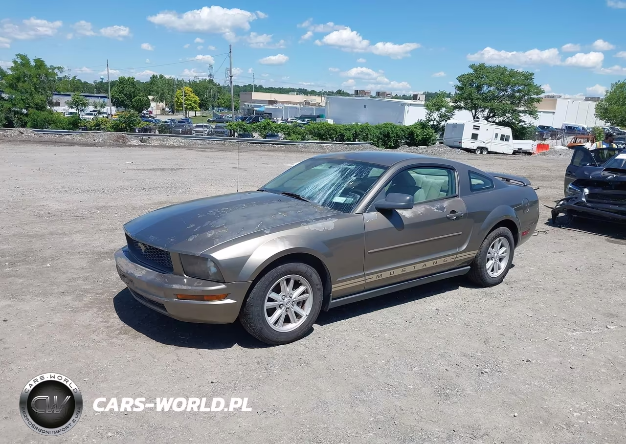 2005 Ford Mustang V6 Deluxe-V6 Premium VIN:1ZVFT80N955178010 - 2