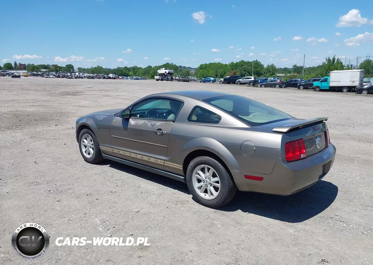 2005 Ford Mustang V6 Deluxe-V6 Premium VIN:1ZVFT80N955178010 - 3