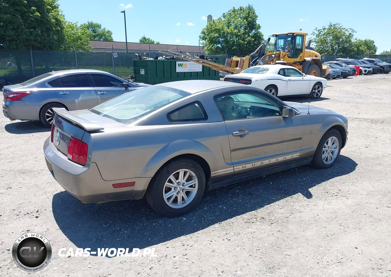 2005 Ford Mustang V6 Deluxe-V6 Premium VIN:1ZVFT80N955178010 - 4