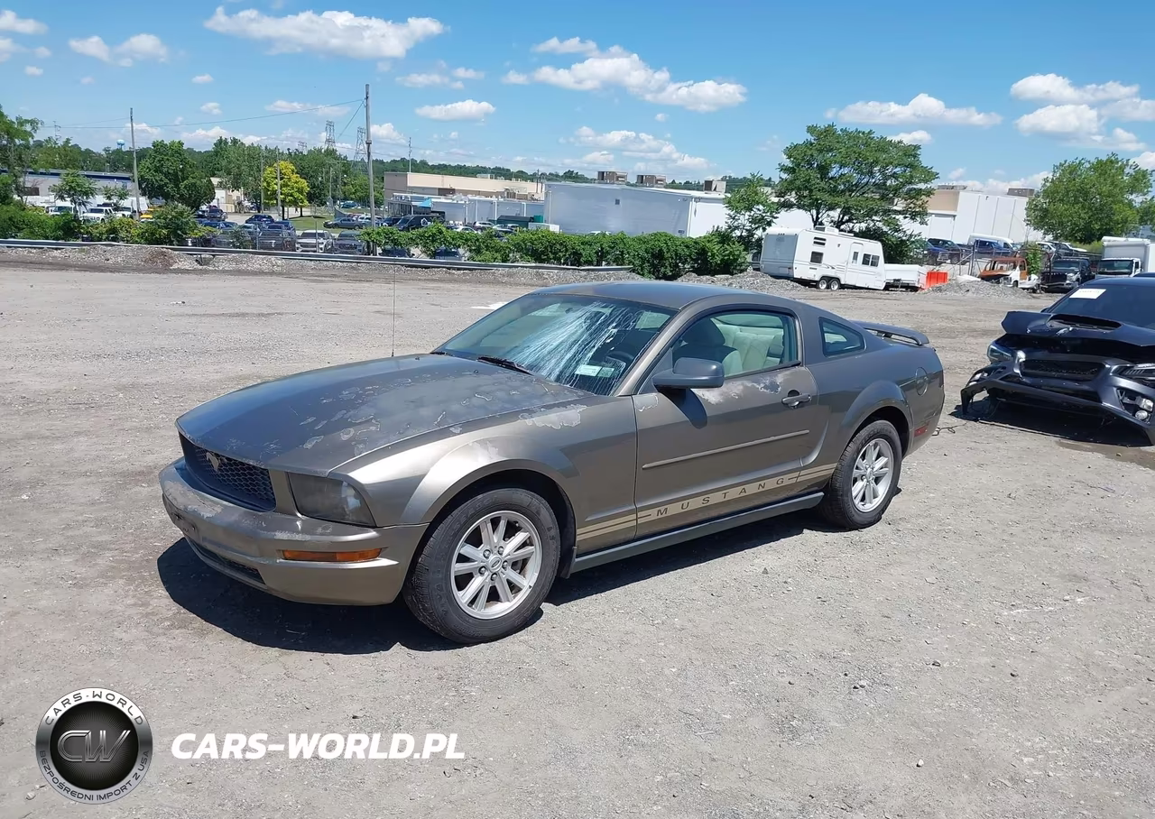 2005 Ford Mustang V6 Deluxe-V6 Premium VIN:1ZVFT80N955178010 - 6