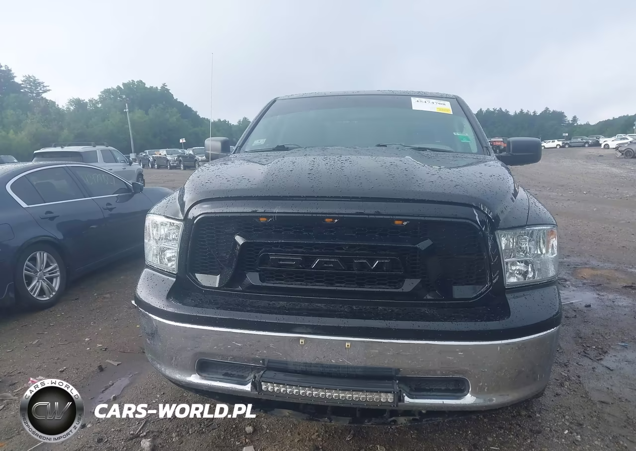 2010 Dodge Ram 1500 Slt-Sport-Trx VIN:1D7RV1GP6AS159649 - 12