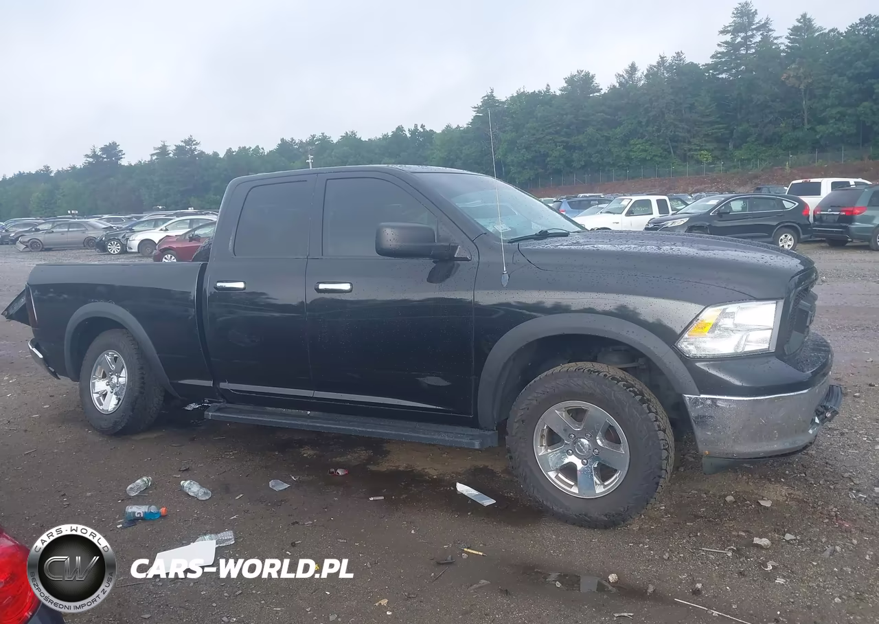 2010 Dodge Ram 1500 Slt-Sport-Trx VIN:1D7RV1GP6AS159649 - 13