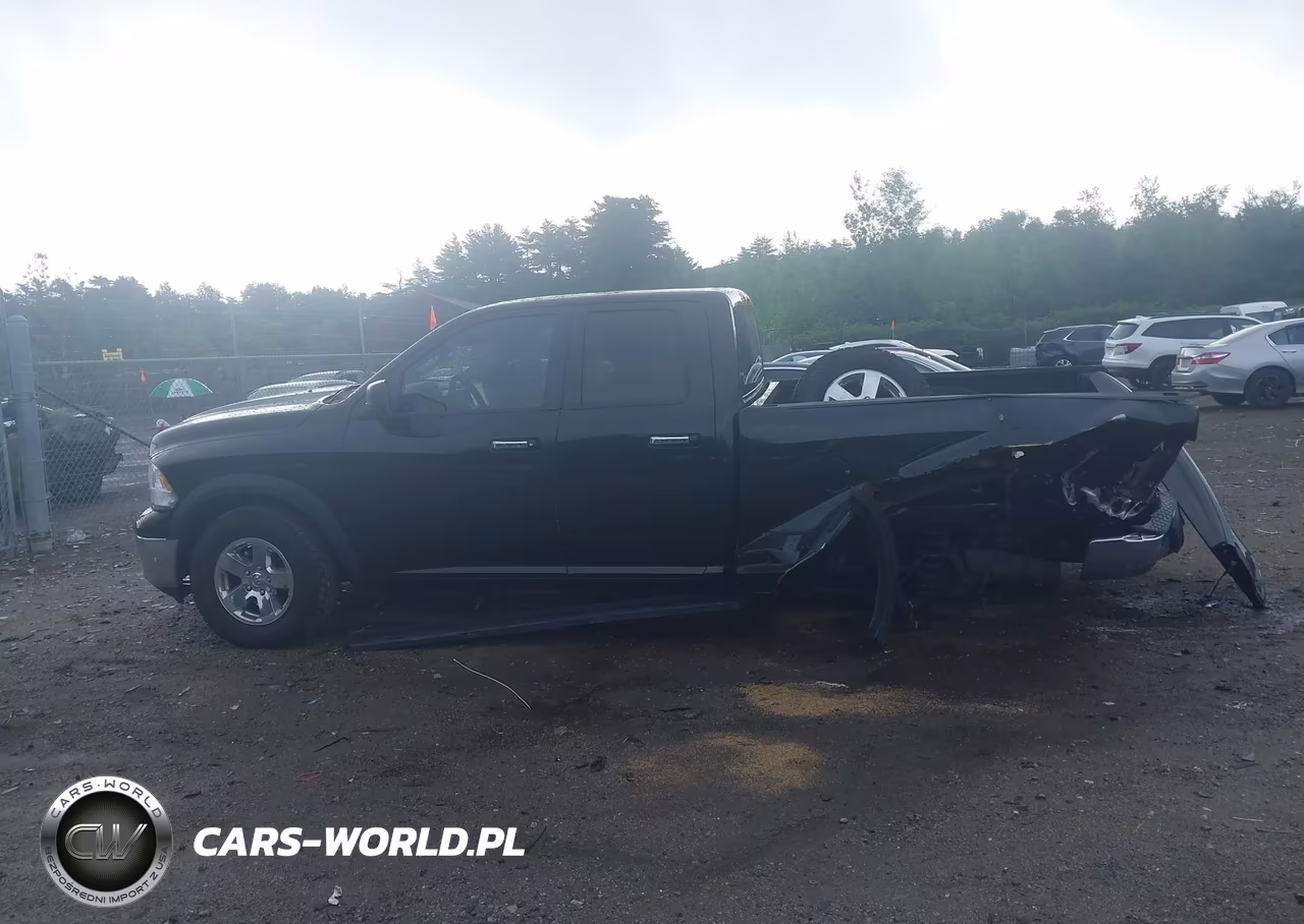 2010 Dodge Ram 1500 Slt-Sport-Trx VIN:1D7RV1GP6AS159649 - 14