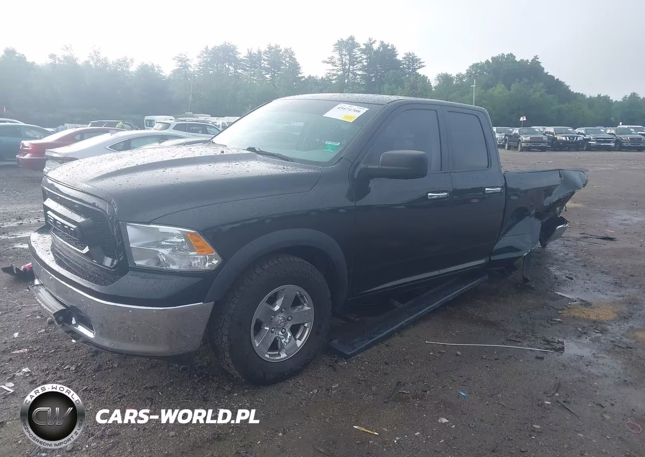 2010 Dodge Ram 1500 Slt-Sport-Trx VIN:1D7RV1GP6AS159649 - 2