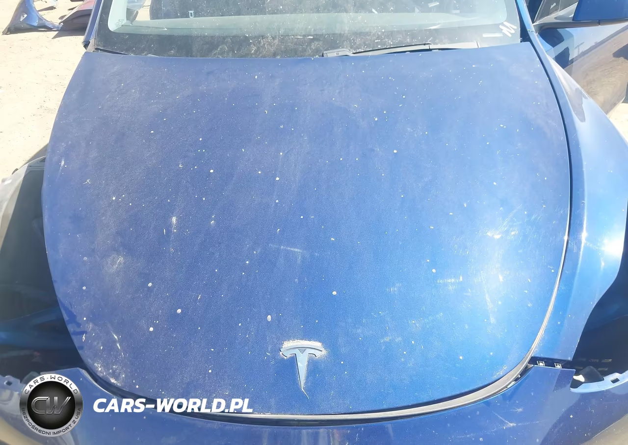 2020 Tesla Model Y Long Range Dual Motor All-Wheel Drive VIN:5YJYGDEE1LF057906 - 10