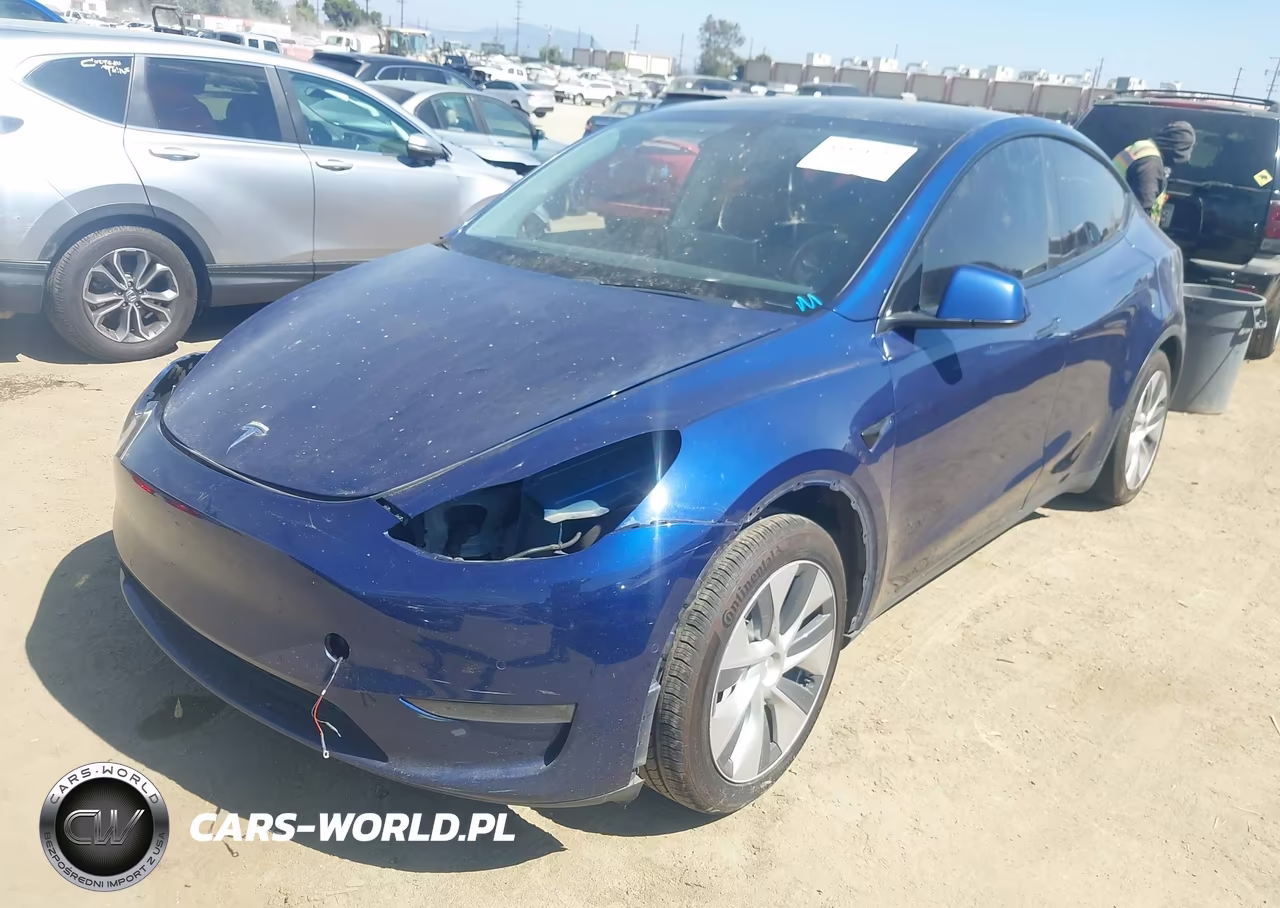 2020 Tesla Model Y Long Range Dual Motor All-Wheel Drive VIN:5YJYGDEE1LF057906 - 2