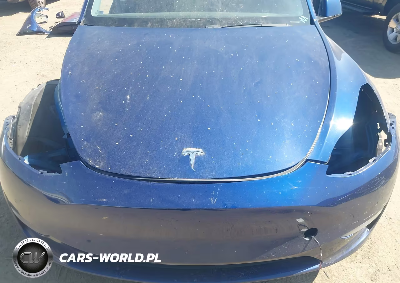 2020 Tesla Model Y Long Range Dual Motor All-Wheel Drive VIN:5YJYGDEE1LF057906 - 20