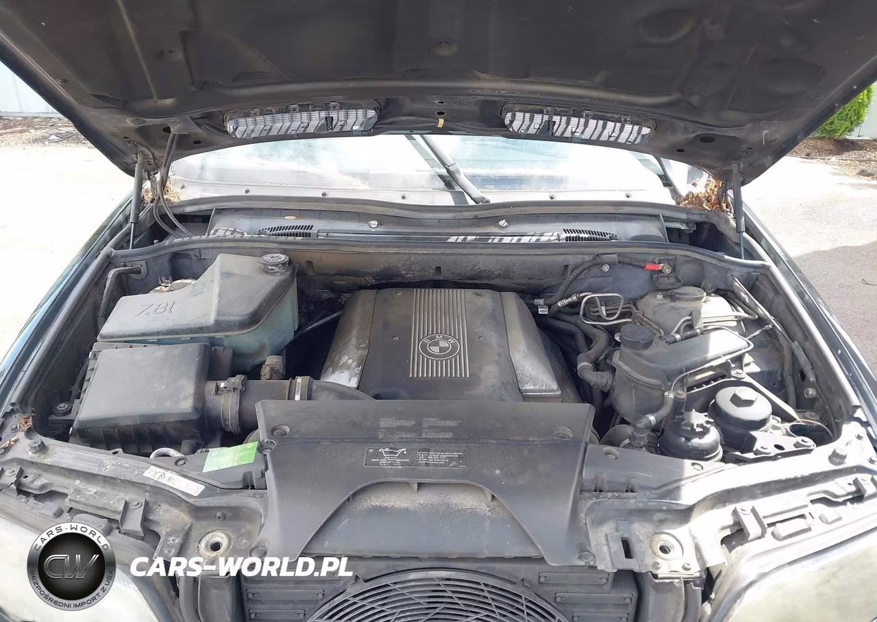 2003 BMW X5 4.4I VIN:5UXFB33583LH50019 - 10