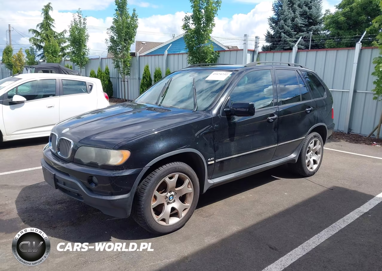 2003 BMW X5 4.4I VIN:5UXFB33583LH50019 - 2