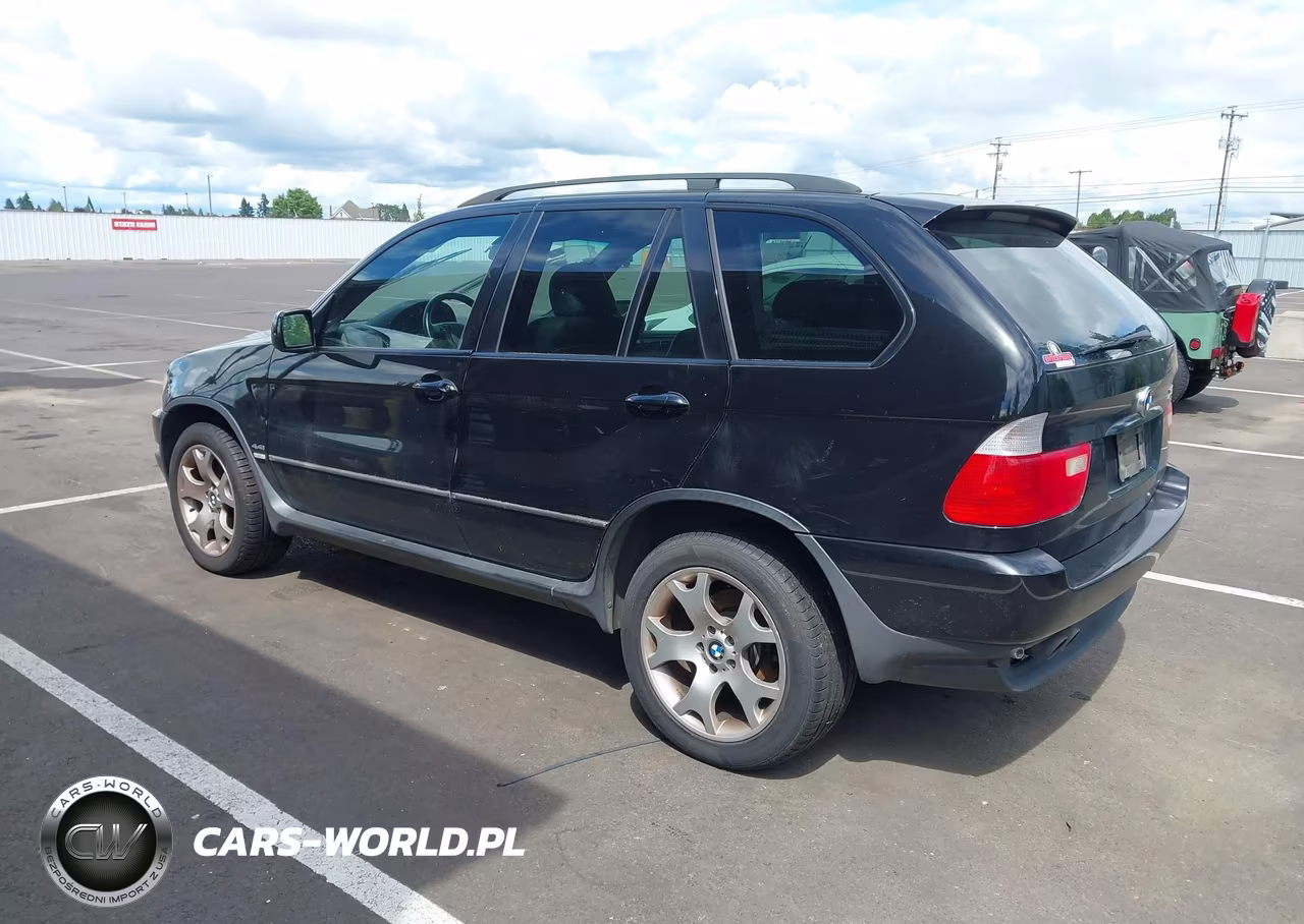 2003 BMW X5 4.4I VIN:5UXFB33583LH50019 - 3