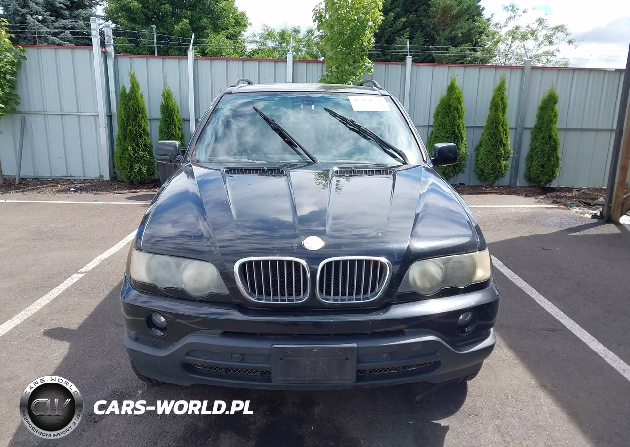 2003 BMW X5 4.4I VIN:5UXFB33583LH50019 - 6