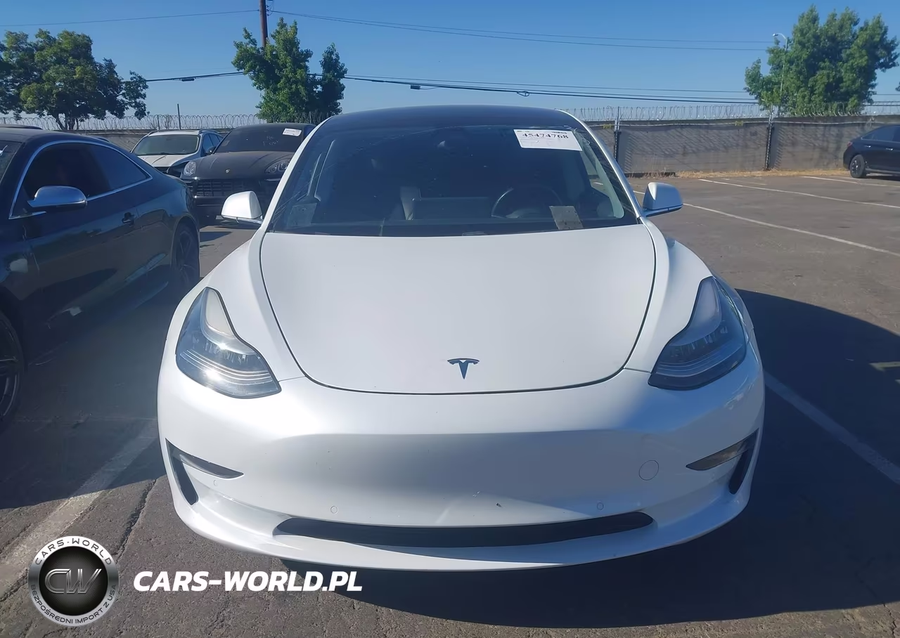 2019 Tesla Model 3 Long Range-Mid Range-Standard Range-Standard Range Plus VIN:5YJ3E1EA5KF401604 - 12