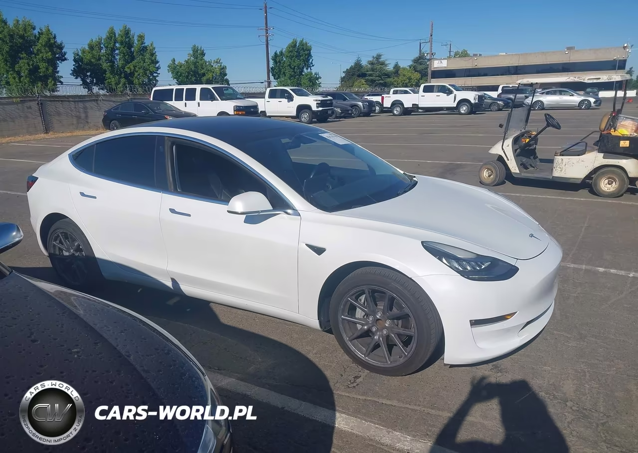 2019 Tesla Model 3 Long Range-Mid Range-Standard Range-Standard Range Plus VIN:5YJ3E1EA5KF401604 - 13