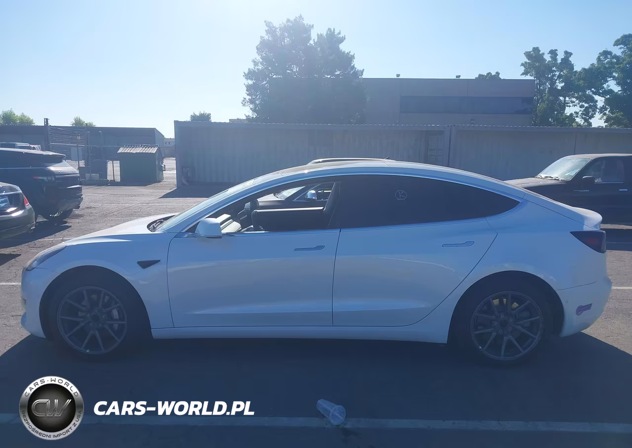 2019 Tesla Model 3 Long Range-Mid Range-Standard Range-Standard Range Plus VIN:5YJ3E1EA5KF401604 - 14