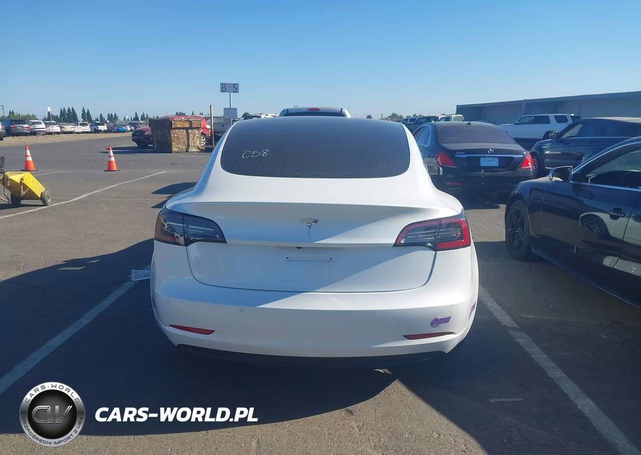 2019 Tesla Model 3 Long Range-Mid Range-Standard Range-Standard Range Plus VIN:5YJ3E1EA5KF401604 - 16